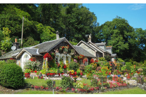 3 moduri de amenajare a unei gradini cu flori