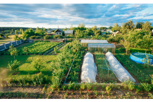 Sfaturi pentru parcelarea gradinii de legume
