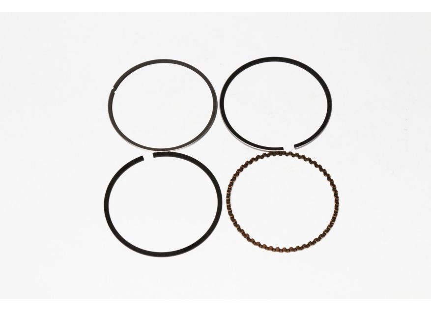 SEGMENTI LONCIN POMPA 1.5