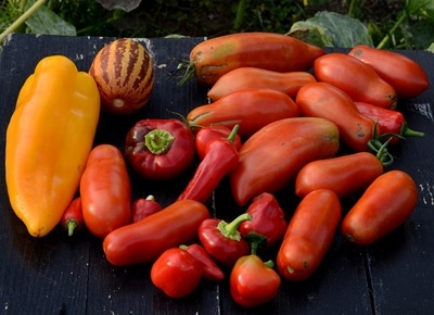 recolte cultivarea pamantului