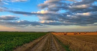 Tendinte in agricultura pe care orice gospodar trebuie sa le stie