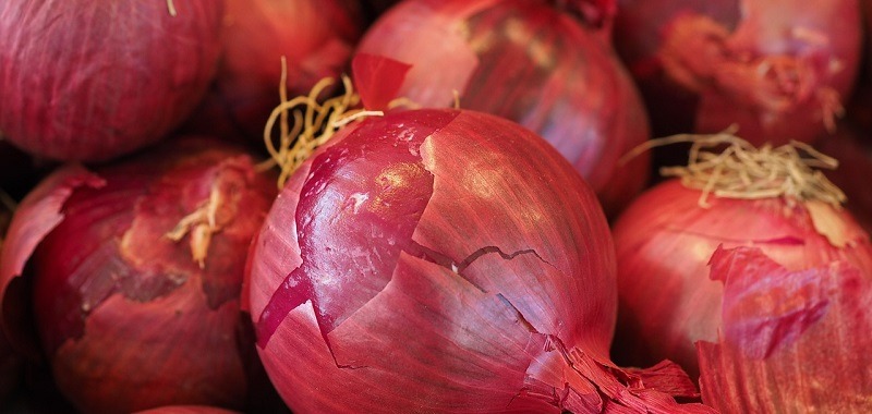 ceapa rosie - gradina cu legume