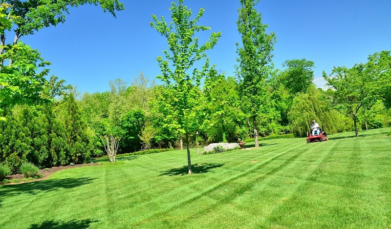 Fertilizarea gazonului O-Mac