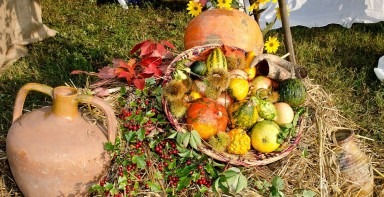 Lucrarile unui calendar agricol pe timp de toamna