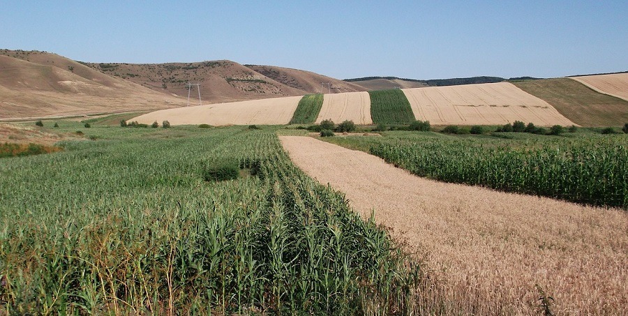 agricultura sustenabila romania