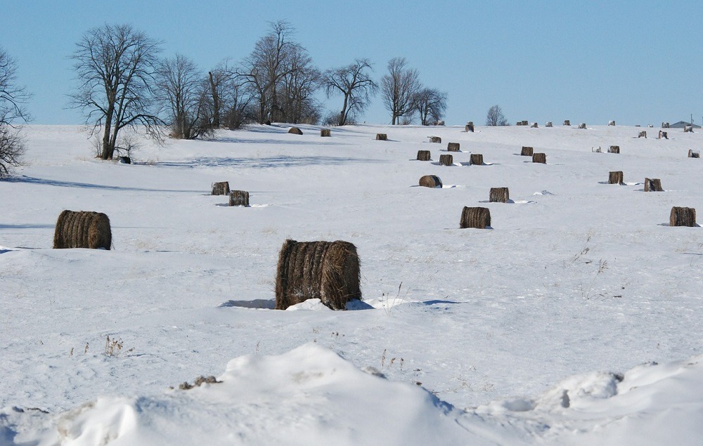 ce lucrari agricole efectuam iarna