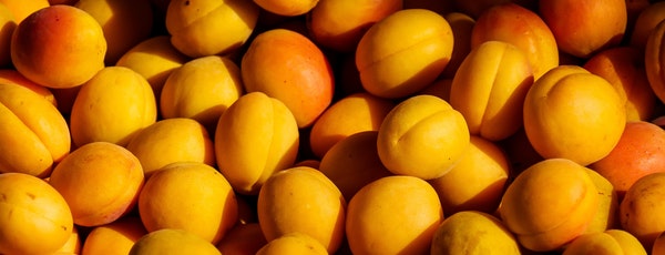 caise culturi profitabile