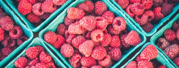 culturi profitabile zmeur