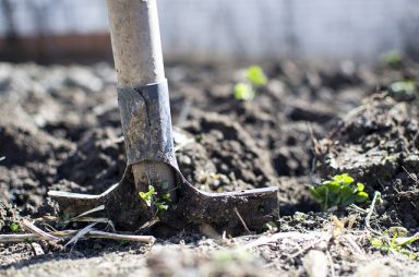 Ce activităţi agricole să desfășori odată cu venirea primăverii