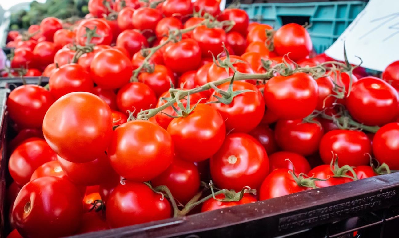 Culturi profitabile pentru micii agricultori