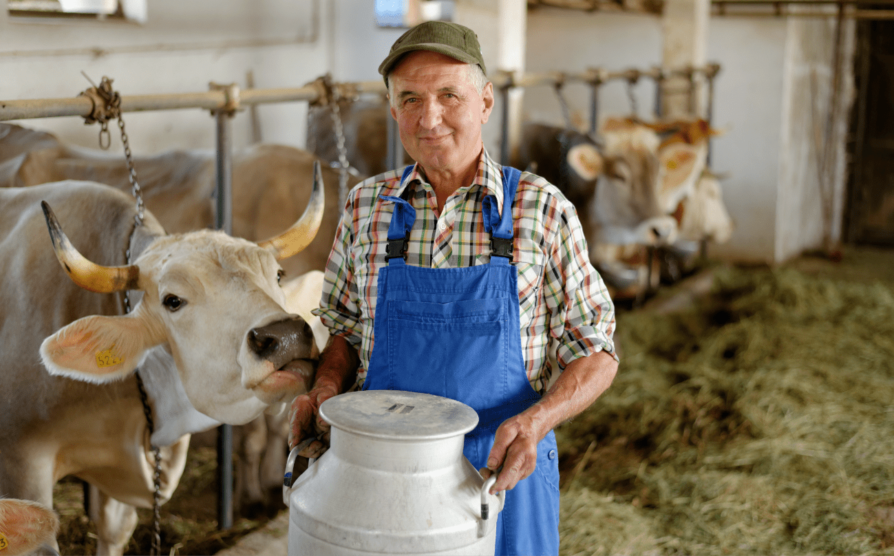 Cum influenteaza o mulgatoare vaci productivitatea de lapte