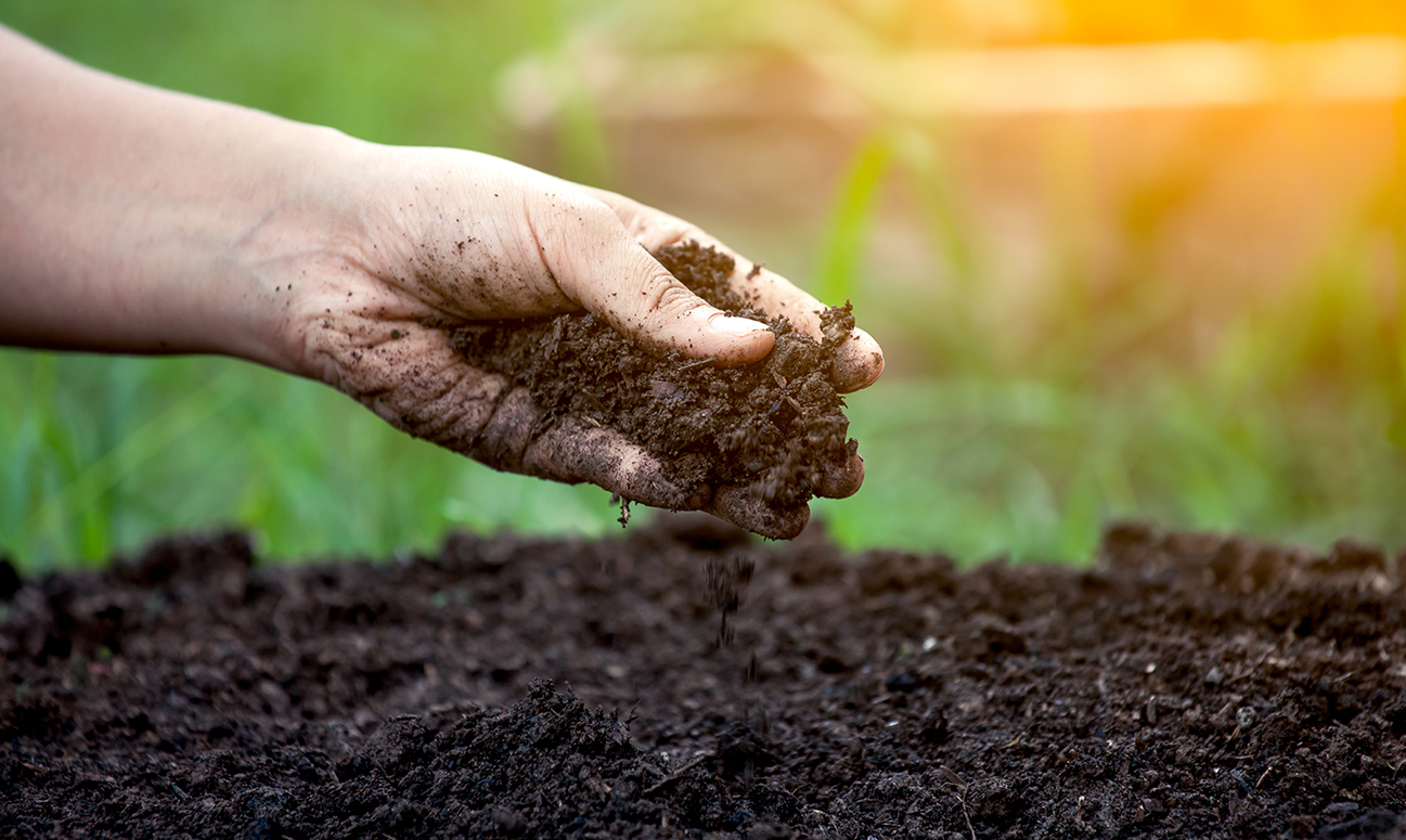 Tipurile de sol și pregătirea terenului de cultivat primăvara