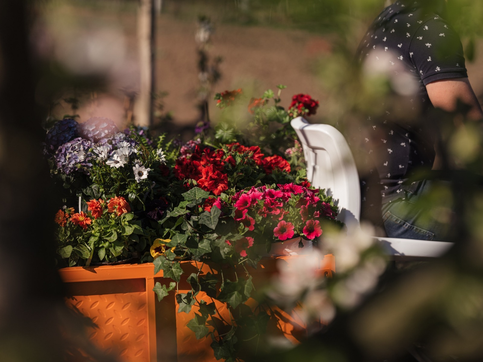 Castigatorul concursului O-Mac Vestitorul Primaverii alaturi de premiu