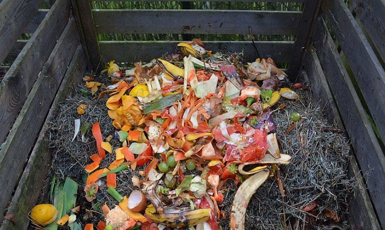 compost organic ingrasaminte naturale