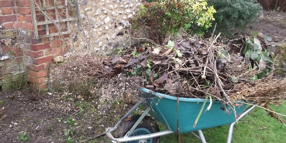 Curatarea gradinii primavara